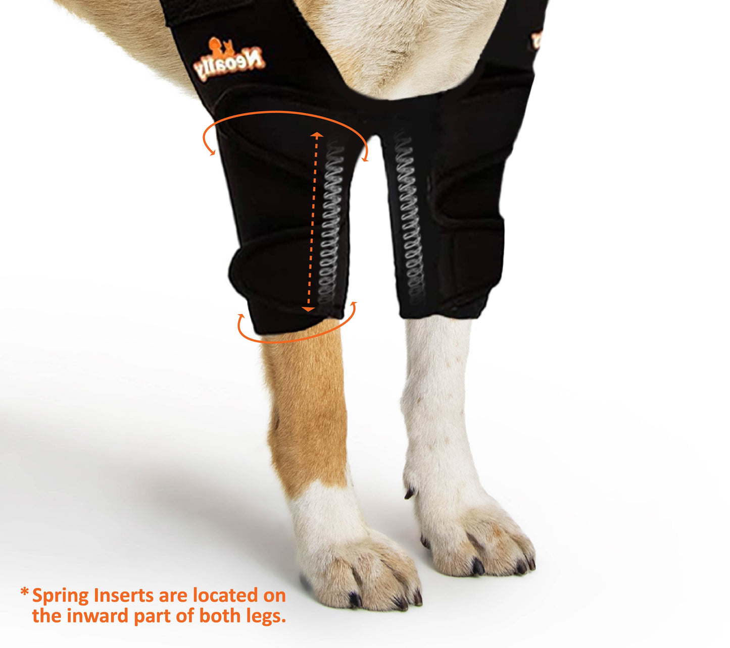 Dog wearing black leggings with visible branding on a white background