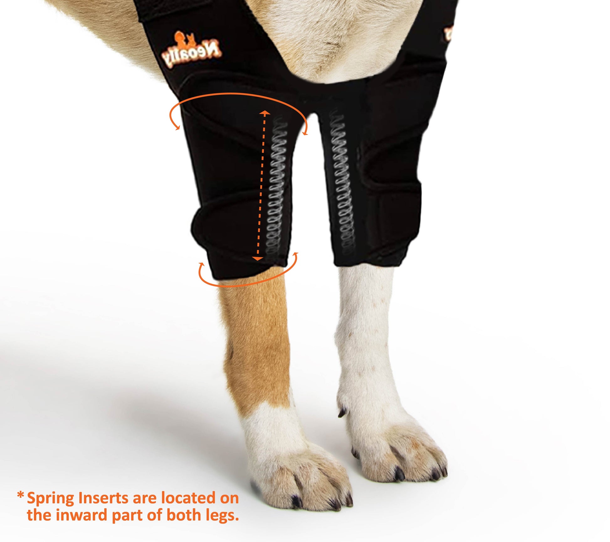 Dog wearing black leggings with visible branding on a white background