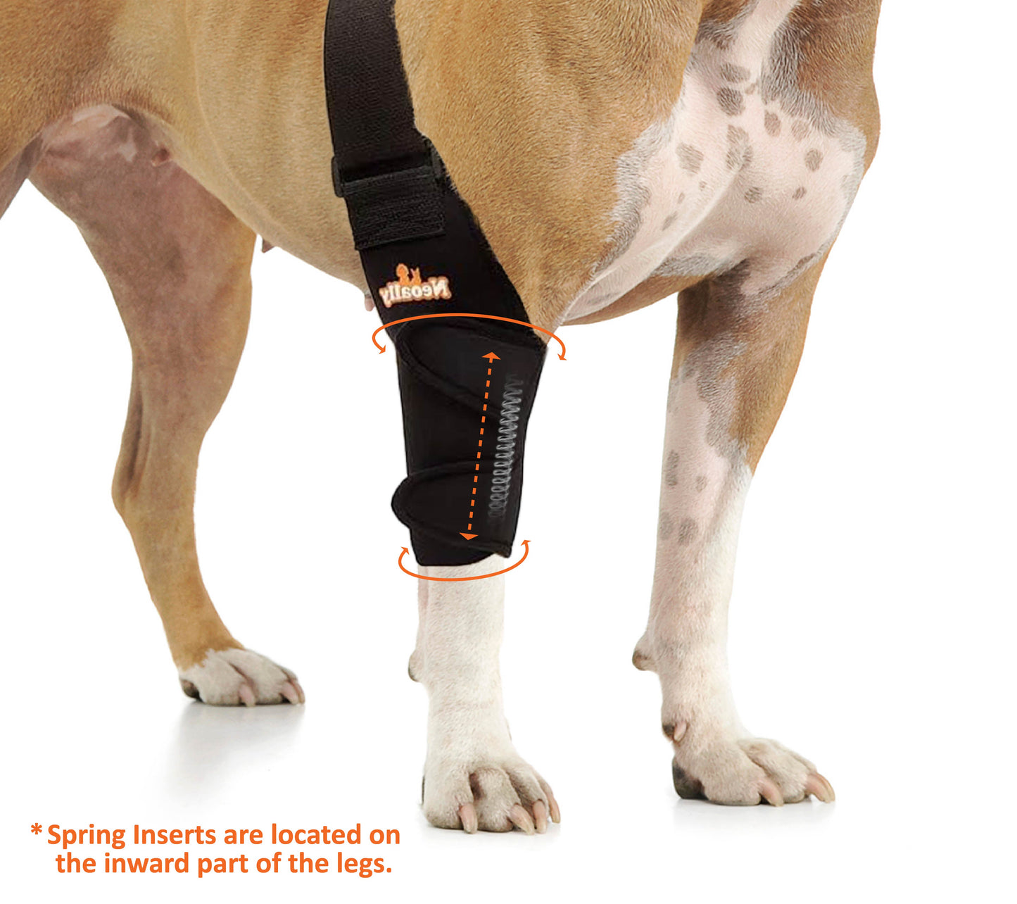 Dog wearing a black leg brace with orange accents on a white background