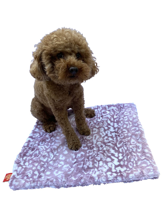 Small brown dog sitting on a purple blanket with white patterns on a white background