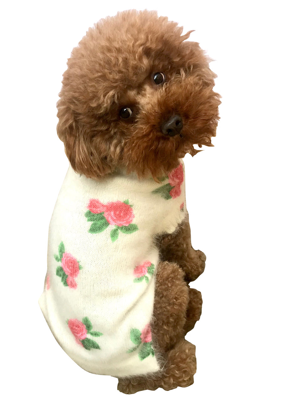 Roses are Red Sweater