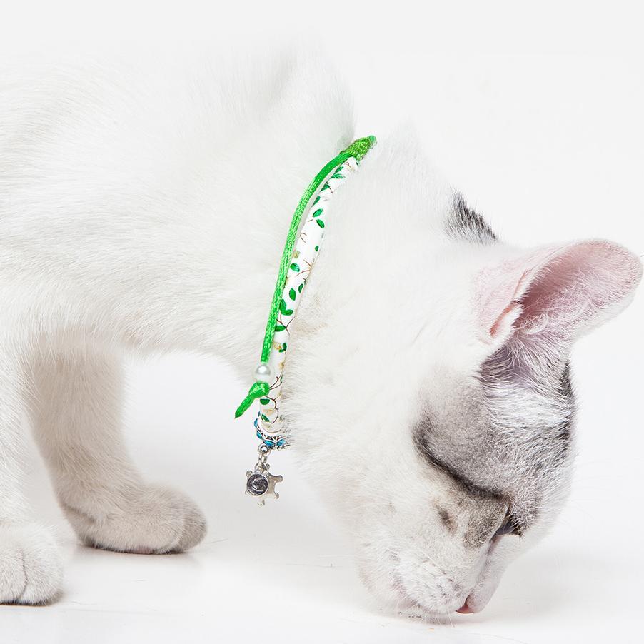 White cat wearing a green cat collar with charms on a white background