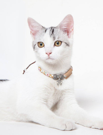 White cat with a decorative collar on a white background