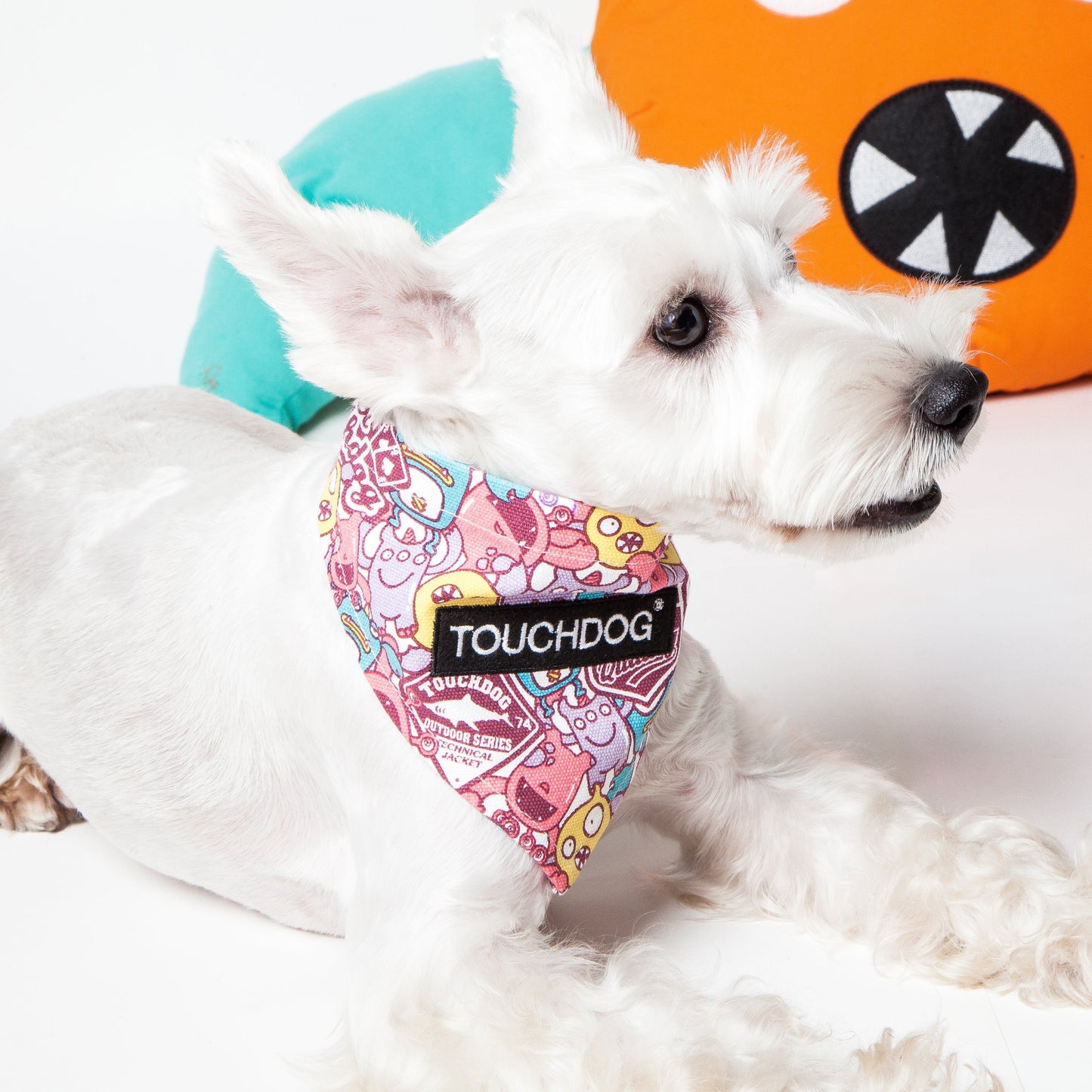 White dog wearing a colorful bandana with 'Touchdog' branding, sitting on a white surface.