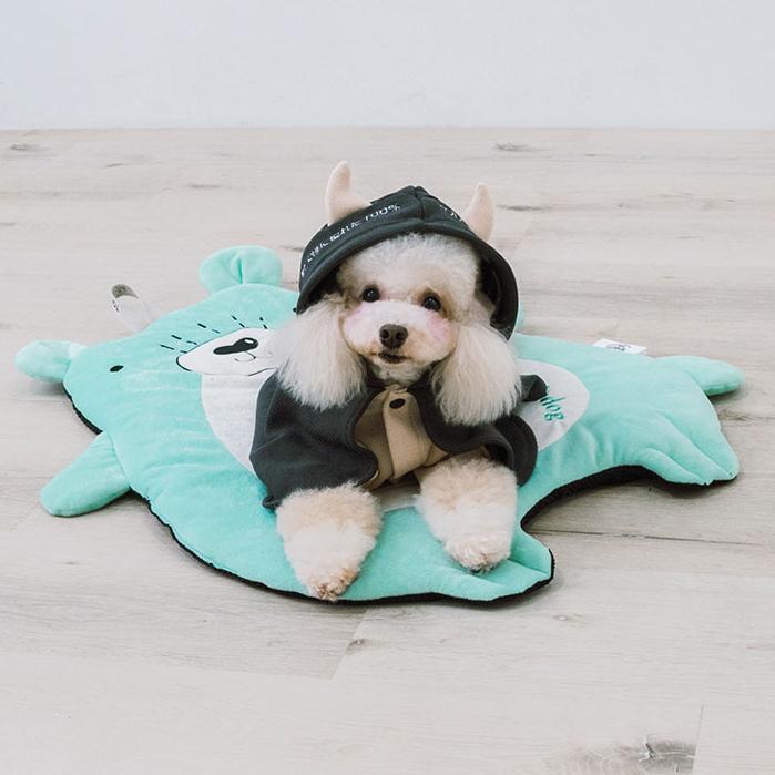 Small dog wearing a black outfit with a hood, sitting on a green star-shaped mat.