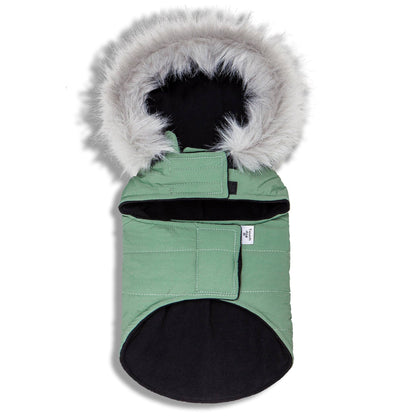 Green pet coat with a fluffy hood on a white background