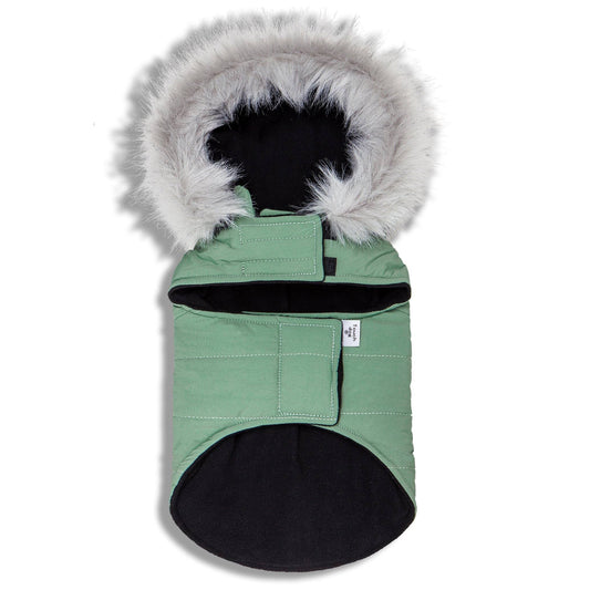 Green pet coat with a fluffy hood on a white background