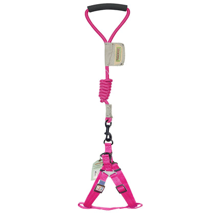 Pink dog harness and leash set on a white background