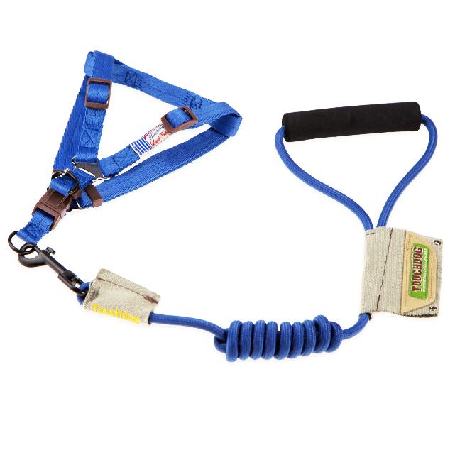 Blue dog harness and leash set on a white background