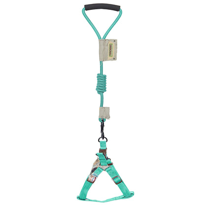 Turquoise dog harness with handle on a white background