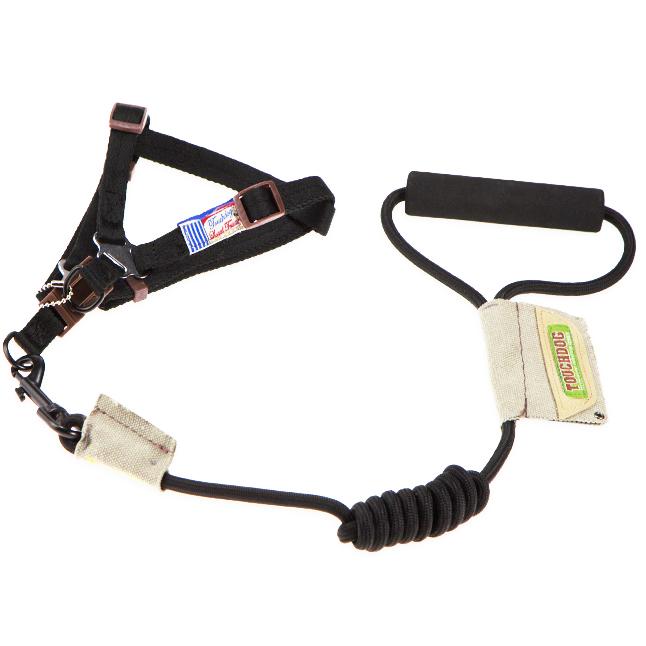 Dog harness with leash on a white background