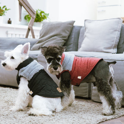 Two dogs wearing quilted jackets in a living room setting