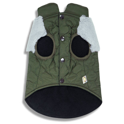 Green dog coat with black paws and white fur on a white background