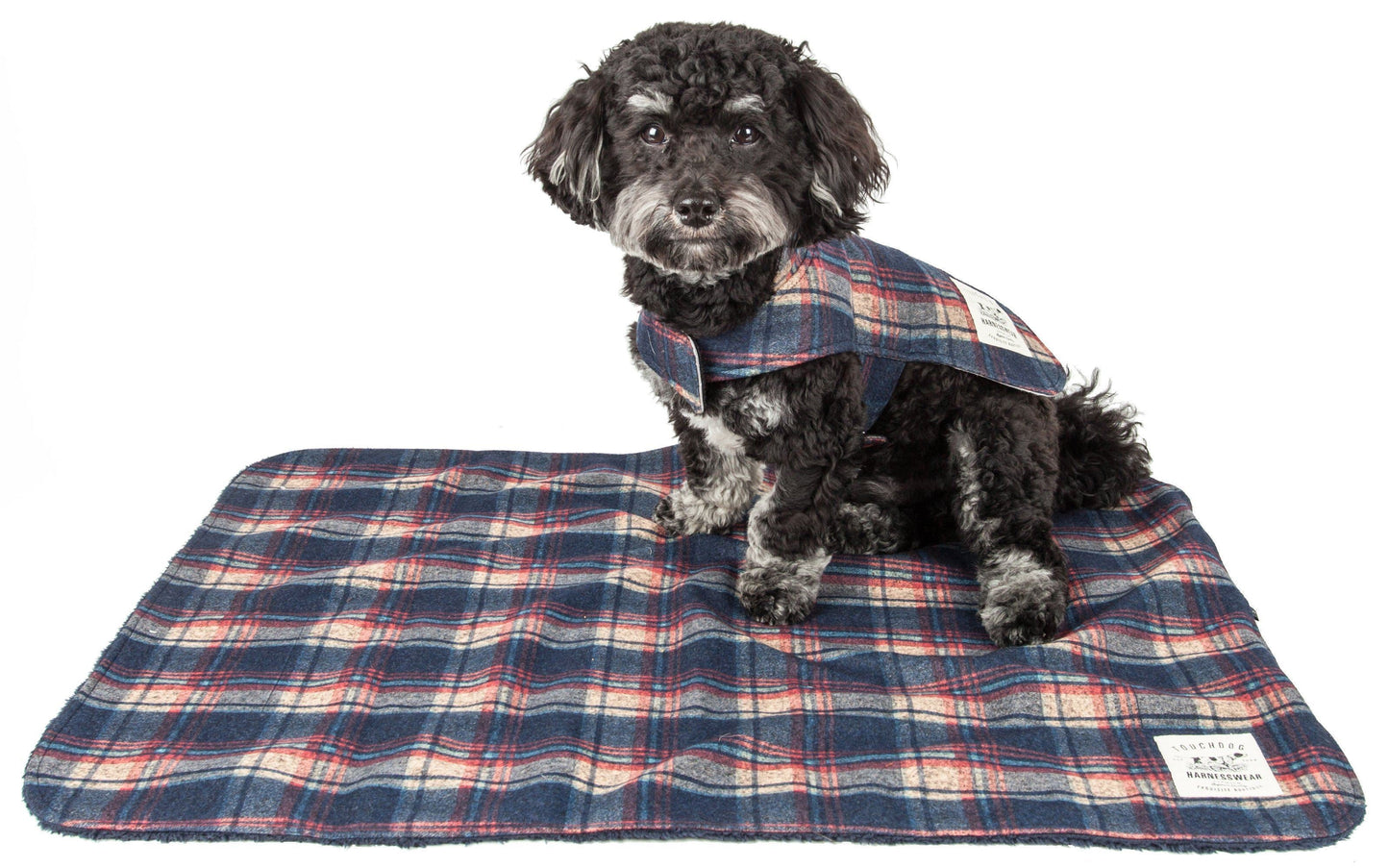 Dog wearing a plaid coat on a matching blanket