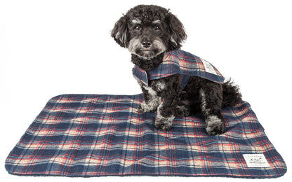 Dog wearing a plaid coat on a matching blanket