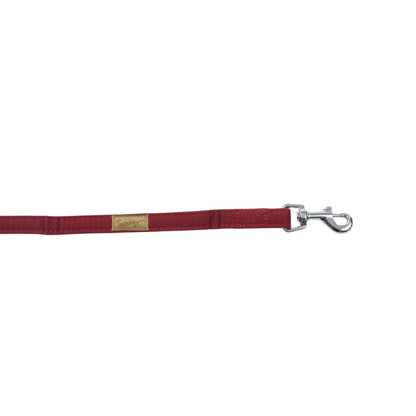 Red dog leash with a silver clasp on a white background