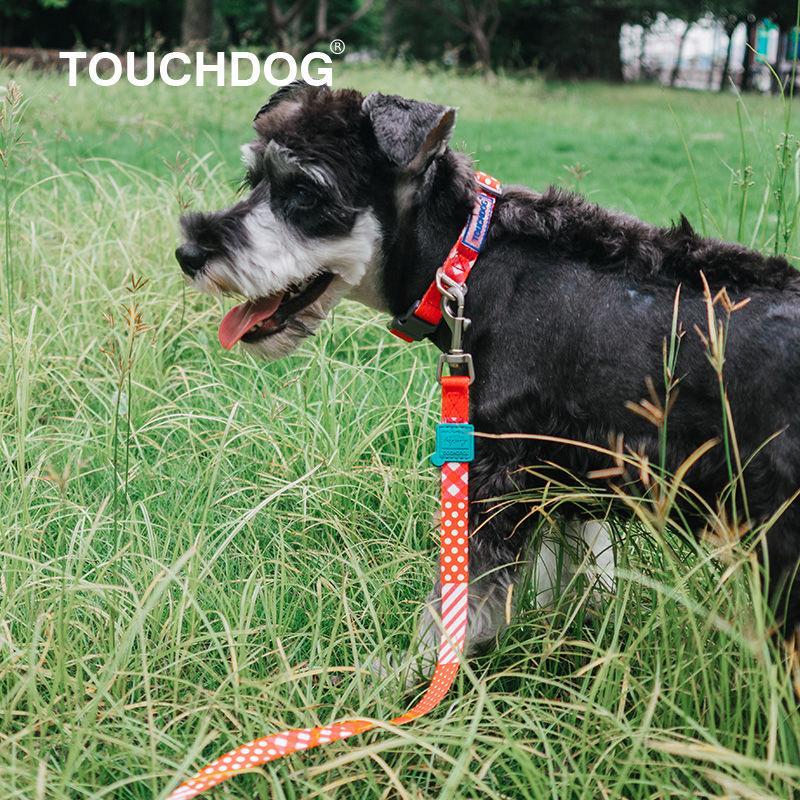 Dog wearing a red and blue leash in a grassy field with 'TOUCHDOG' branding.