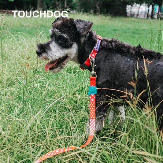 Dog wearing a red and blue leash in a grassy field with 'TOUCHDOG' branding.