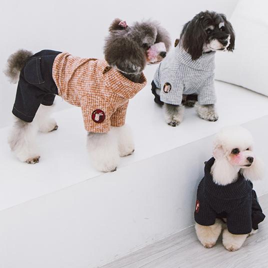 Three small dogs wearing colorful sweaters on a white floor.