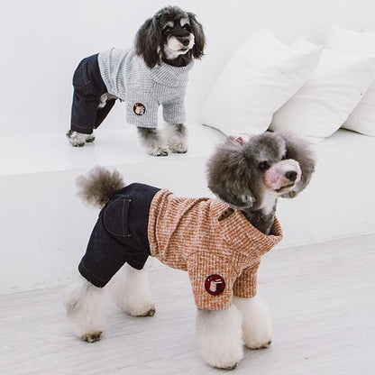 Two dogs wearing winter clothing on a white background