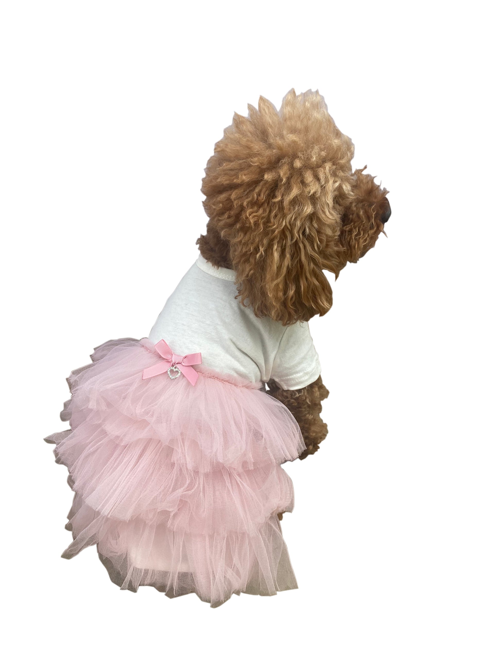 Dog wearing a white shirt and pink tutu on a white background