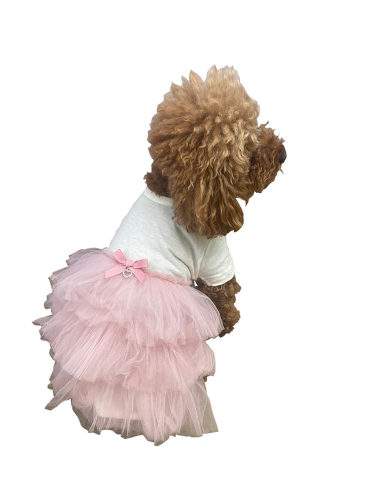 Dog wearing a white shirt and pink tutu on a white background