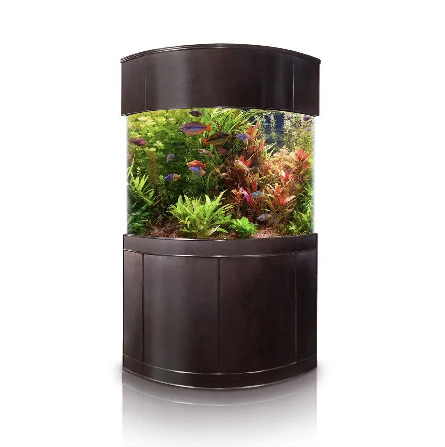 Cylindrical aquarium with fish and plants on a white background
