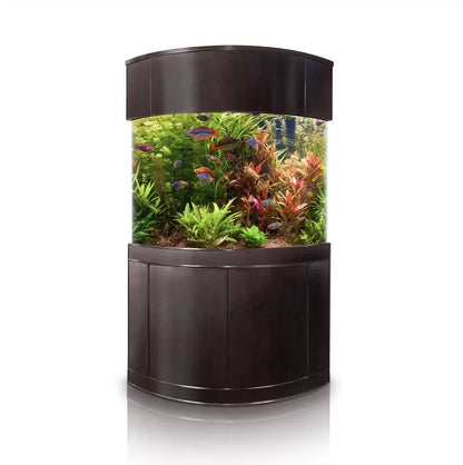 Cylindrical aquarium with fish and plants on a white background