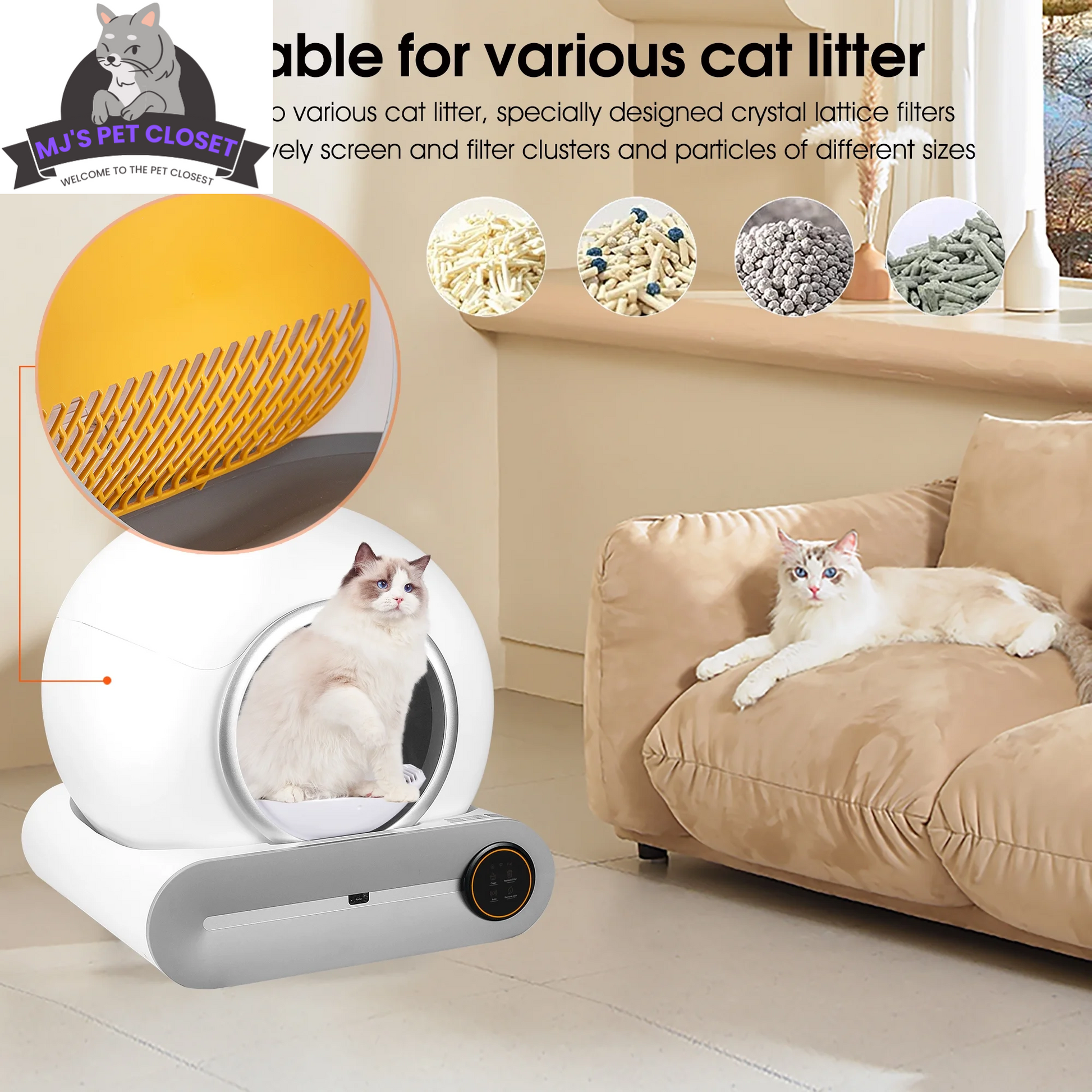Cat litter product with a cat on a couch in a home setting