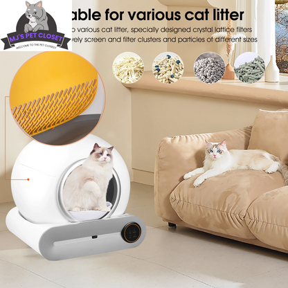 Cat litter product with a cat on a couch in a home setting
