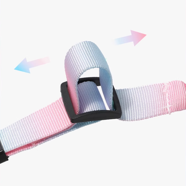 Two colorful webbing straps with a black buckle on a white background