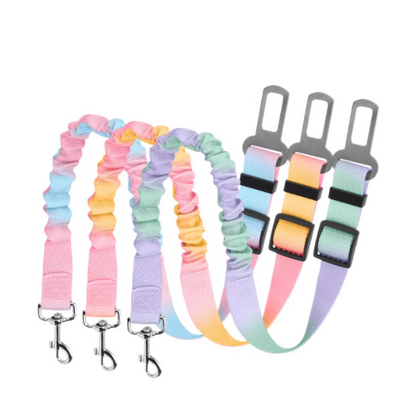 Set of colorful dog leashes with matching car seat belts on a white background
