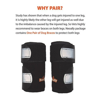 Pair of black dog braces with text explaining their use on a white background