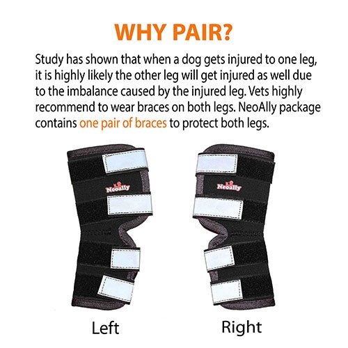 Pair of black and gray braces with NeoAlly branding on a white background, accompanied by text about dog injuries.