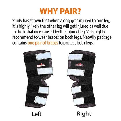 Pair of black and gray braces with NeoAlly branding on a white background, accompanied by text about dog injuries.