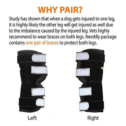 Pair of black and white dog leg braces with text explaining their use.