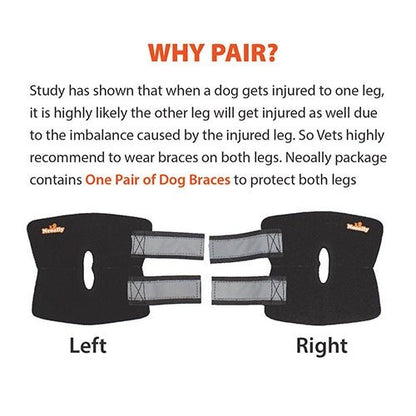 Pair of dog braces with text explaining their use and benefits on a white background.