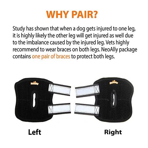 Pair of black dog leg braces with text explaining their use and benefits.