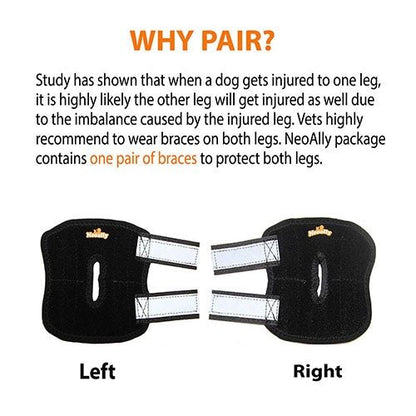 Pair of black dog leg braces with text explaining their use and benefits.