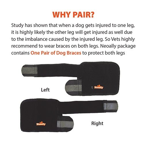 Two black dog braces labeled 'Left' and 'Right' with text explaining their use.